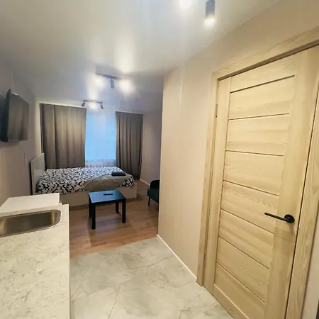 Studio Apartment Apartment Vilnius